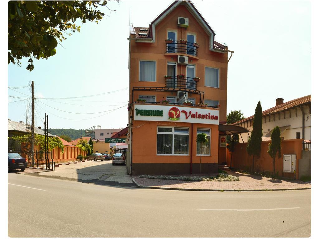 Hotel Pensiune Valentina Râmnicu Vâlcea Esterno foto